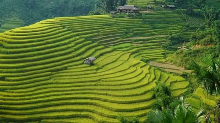 Flower Hmong Homestay Bac Ha  Extérieur photo